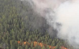 Специалисты ликвидировали 17 природных пожаров за сутки