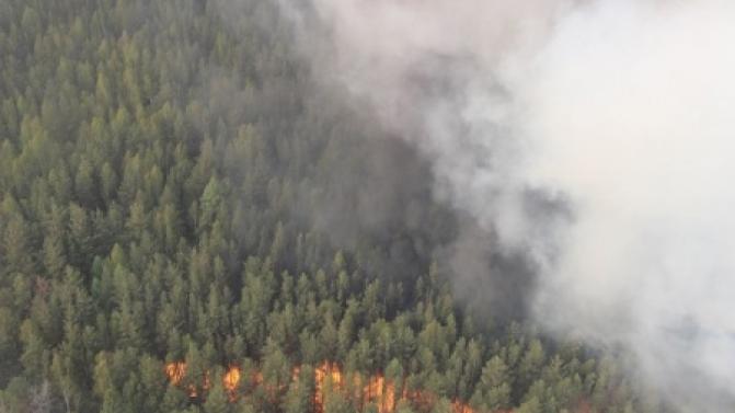 Специалисты ликвидировали 17 природных пожаров за сутки