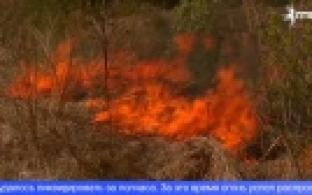 Очередной природный пожар случился в Первоуральске