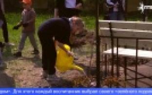 Настоящий летний сад появился в первоуральском реабилитационном центре для несовершеннолетних