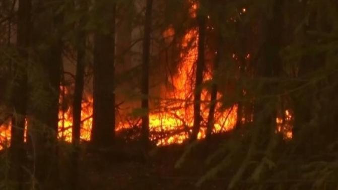 Ситуация с распространением природных пожаров в Свердловской области