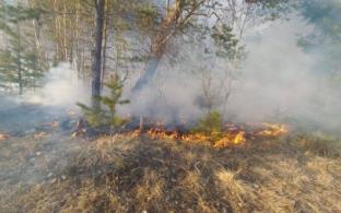 В Свердловской области продолжаются лесные пожары