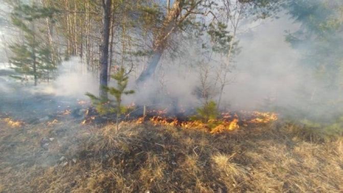 В Свердловской области продолжаются лесные пожары
