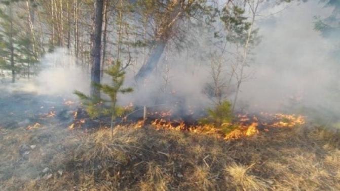 Ситуация с лесными пожарами в Свердловской области