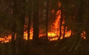 Количество локализованных и ликвидированных пожаров в Свердловской области увеличилось