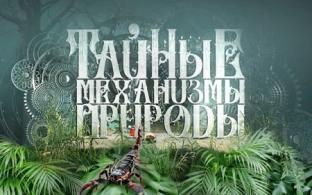 Смотрите документальный цикл «Тайные механизмы природы»