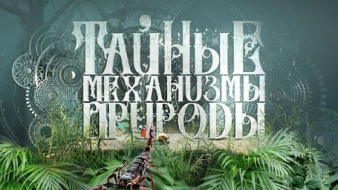 Смотрите документальный цикл «Тайные механизмы природы»