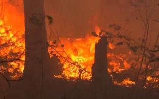 В Свердловской области продолжаются лесные пожары