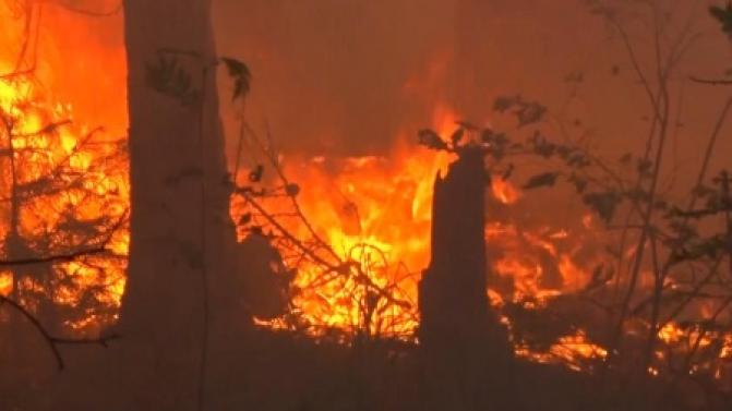 В Свердловской области продолжаются лесные пожары