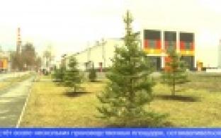 На градообразующем предприятии Первоуральска провели экологическую акцию