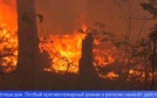 Завтра в регионе начнёт действовать особый противопожарный режим