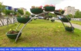 Около 12 тысяч цветов высадят в городские клумбы