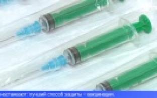 Всё больше уральцев были укушены клещами