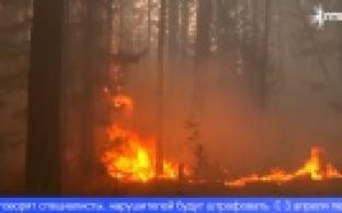 Первоуральским садоводам грозят штрафы до 400 тысяч рублей