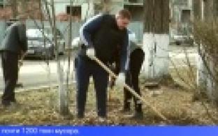 Весенние субботники в Свердловской области будут проходить весь апрель