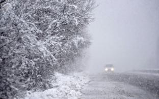 Госавтоинспекция предупреждает водителей и пешеходов
