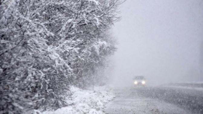 Госавтоинспекция предупреждает водителей и пешеходов