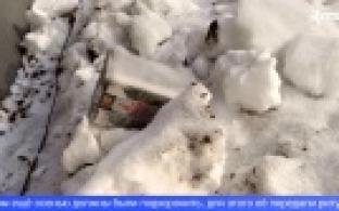 Урну с прахом обнаружили первоуральцы на улице Трубников