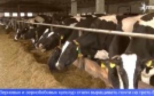 Итоги сельскохозяйственной микропереписи подвели на Среднем Урале