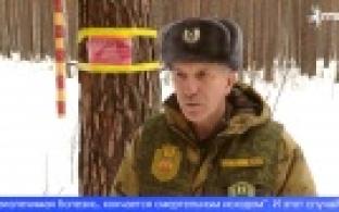 В Свердловской области участились случаи бешенства среди диких зверей