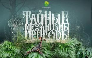 Смотрите сегодня документальный фильм "Тайные механизмы природы" — в 13:45 на телеканале ПТВ