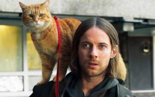 Семейный фильм "Рождество кота Боба"