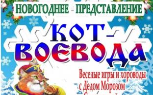 Приглашаем на новогоднее музыкальное представление