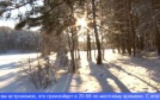 Сегодня День зимнего солнцестояния