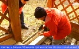 Экоактивисты провели субботник у родника «Шишмарь»