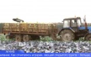 В Свердловской области подвели итоги уборочной кампании