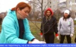 Экоактивисты высадили саженцы липы в Первоуральске