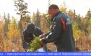 В Битимке сегодня провели акцию по высадке леса