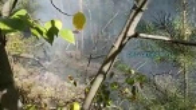 В посёлке Канал горит лес