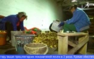 На Урале подвели промежуточные итоги уборочной кампании