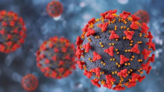 Рост числа заболевших COVID-19 замедлился