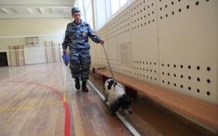 Пять школ "заминировали" сегодня в Первоуральске