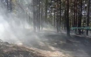 В Первоуральске горит лес