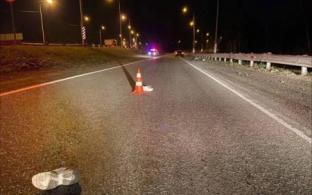 Девушка-пешеход погибла на трассе Пермь-Екатеринбург