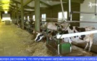 В Россельхознадзоре подвели итоги работы за первое полугодие