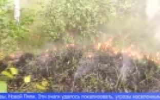 Лесные пожары в Свердловской области отступают