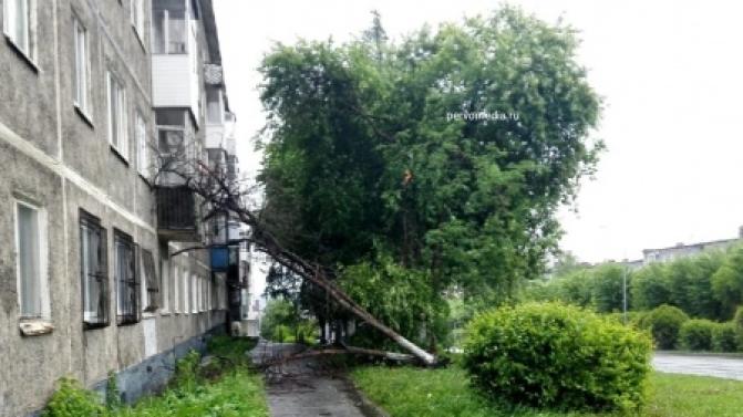 Коммунальные службы переведены на усиленный режим работы