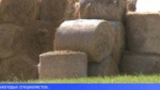 Губернатор призвал сделать Свердловскую область точкой роста сельского хозяйства