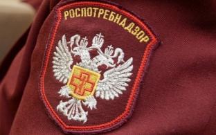 В России официально подтверждён первый случай заболевания оспой обезьян