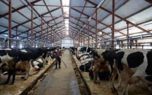 Стали известны предварительные итоги сельскохозяйственной микропереписи 2021 года