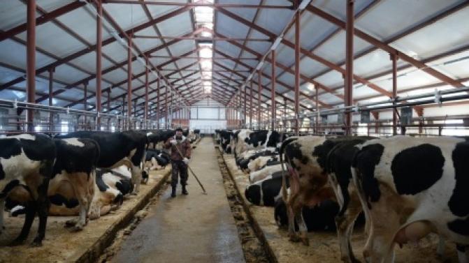 Стали известны предварительные итоги сельскохозяйственной микропереписи 2021 года