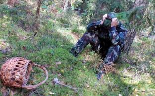 Как не потеряться в лесу: рекомендации МЧС России