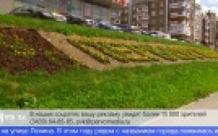 Традиционная надпись из цветов вновь появилась на улице Ленина