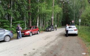 Пятеро пьяных, двое - без прав