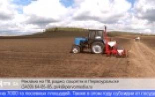 На заседании оперативного штаба обсудили актуальные вопросы в продовольственной сфере