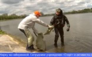 Первоуральцы приняли участие в уборке набережной Нижнего пруда